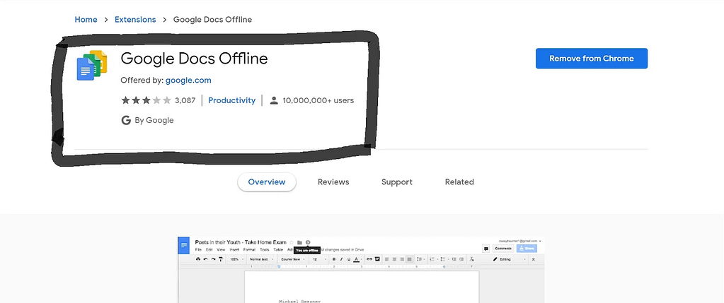 Use Google Docs Offline