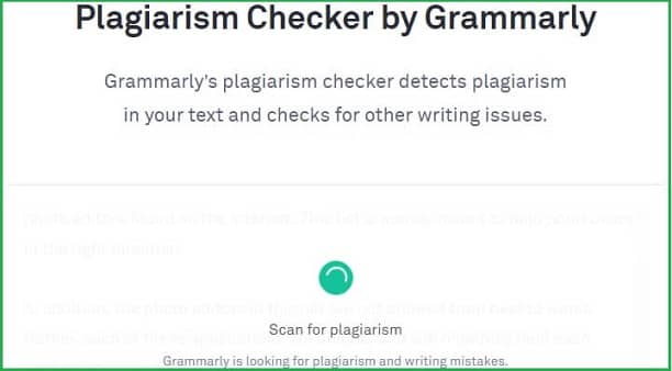 free grammarly plagiarism checker